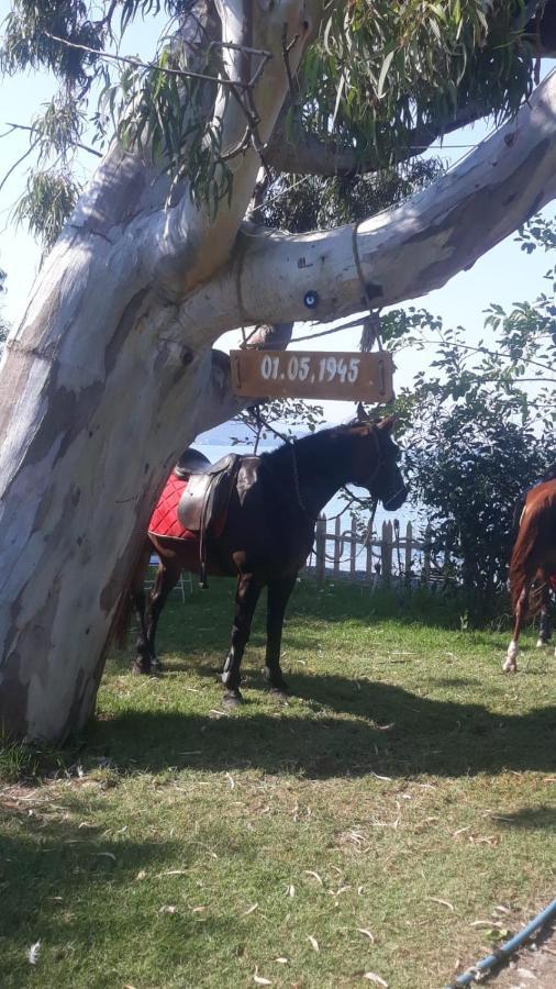 Okaliptus Butik Hotel Fethiye Zewnętrze zdjęcie