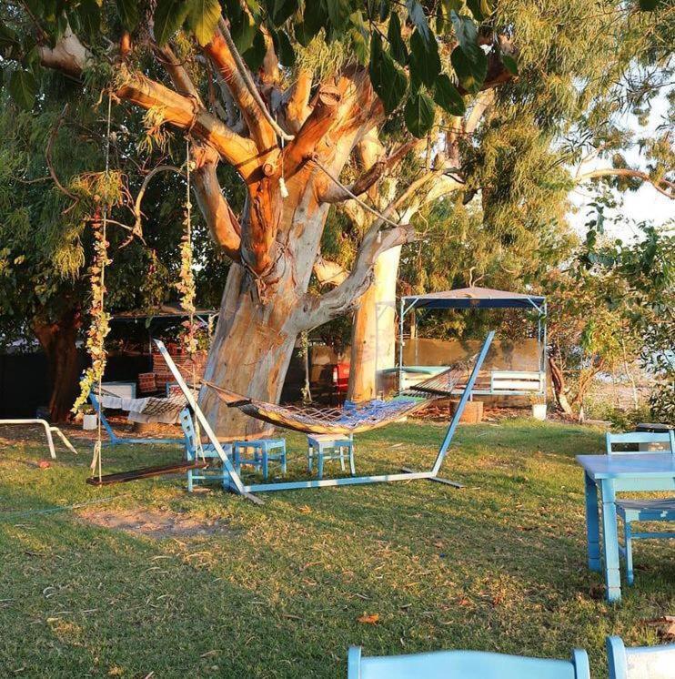 Okaliptus Butik Hotel Fethiye Zewnętrze zdjęcie