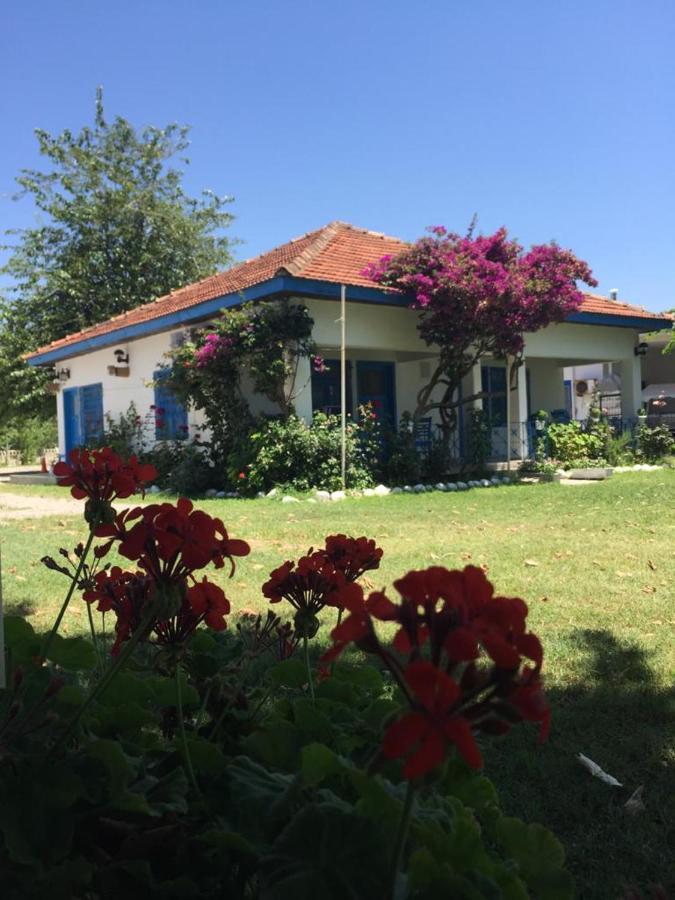 Okaliptus Butik Hotel Fethiye Zewnętrze zdjęcie